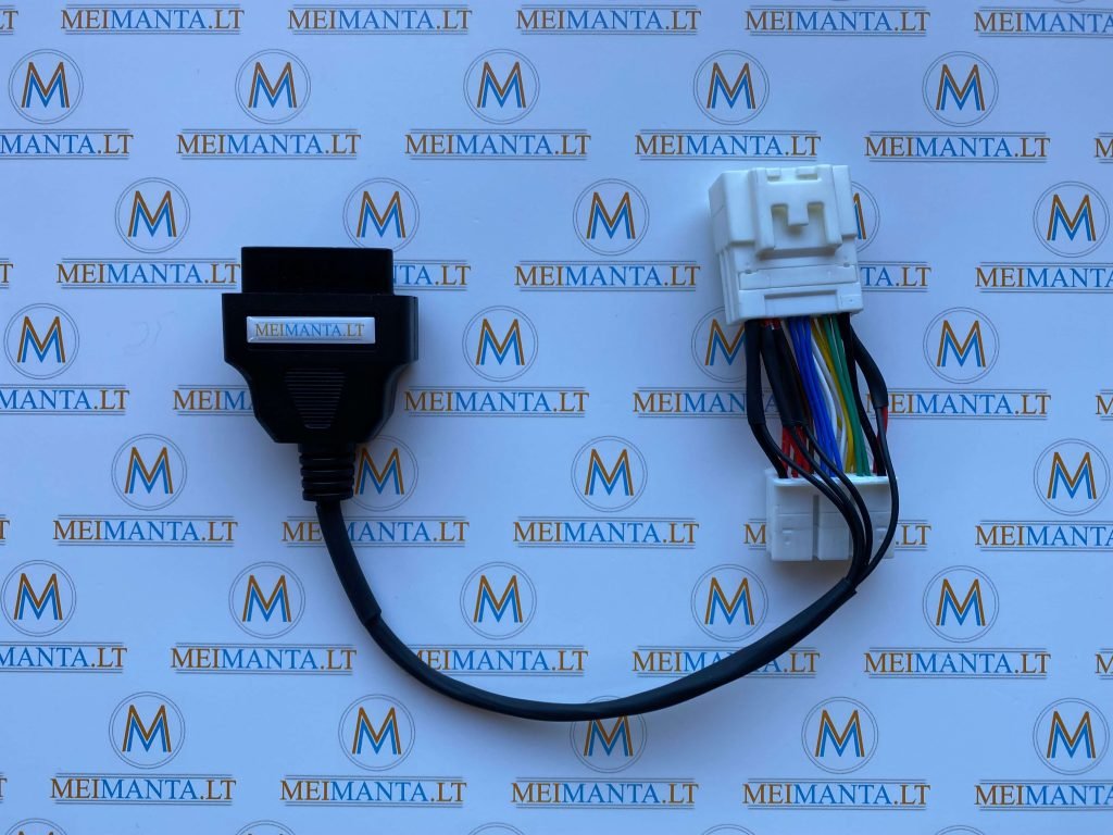Tesla jungtis / perėjimas 20+20 PIN